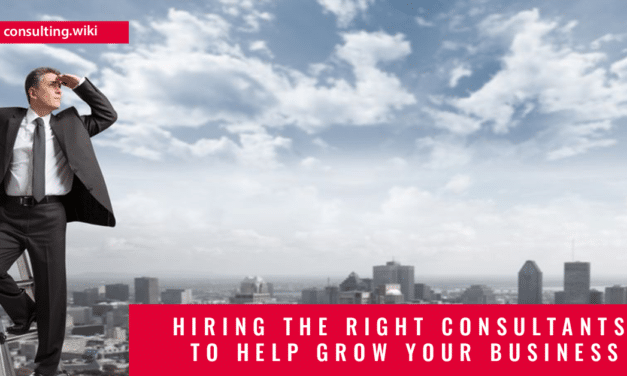 Hiring The Right Consultants To Help Grow Your Business
