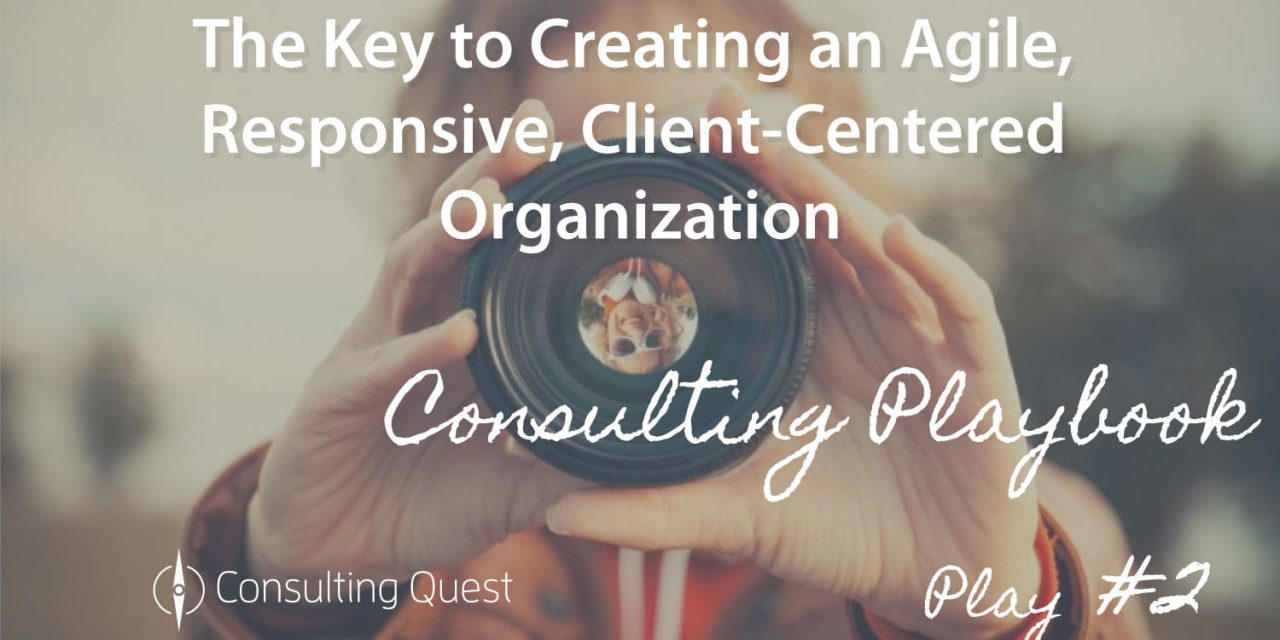 Consulting Playbook: Implementation of a Client-Centric Organization