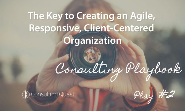 Consulting Playbook: Implementation of a Client-Centric Organization