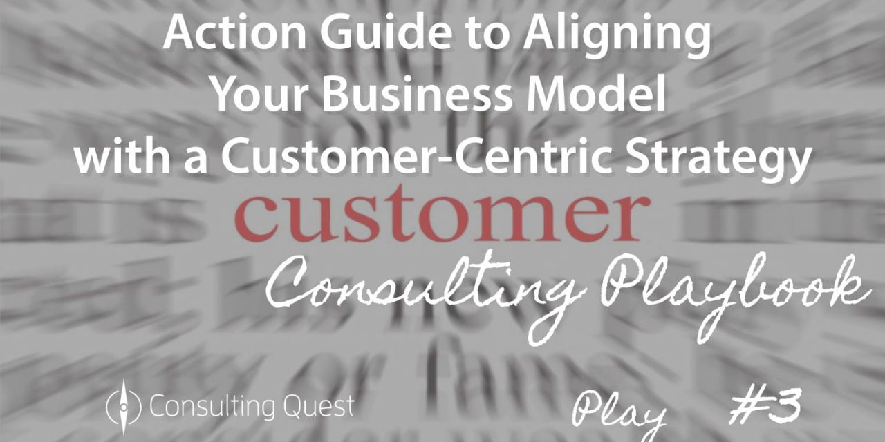 Consulting Playbook: Challenges in Implementing a New Business Model