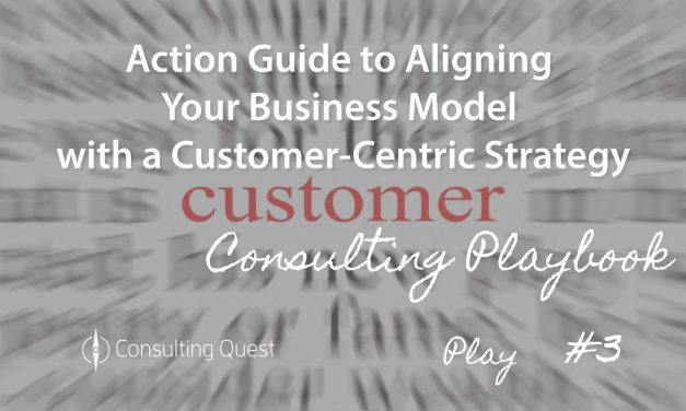 Consulting Playbook: Challenges in Implementing a New Business Model