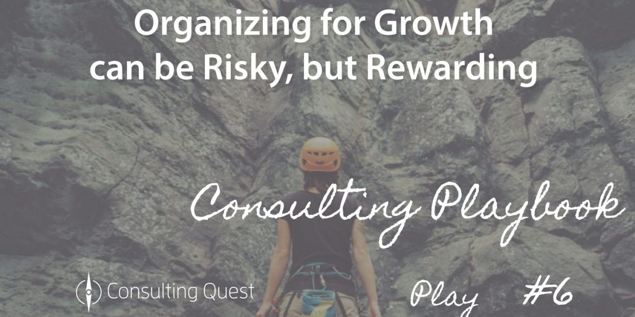 Consulting Playbook: Organize for Growth – a Winning Strategy for Survival