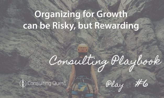 Consulting Playbook: Organize for Growth – a Winning Strategy for Survival