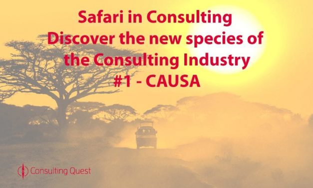 Safari in Consulting #1: CAUSA Consulting