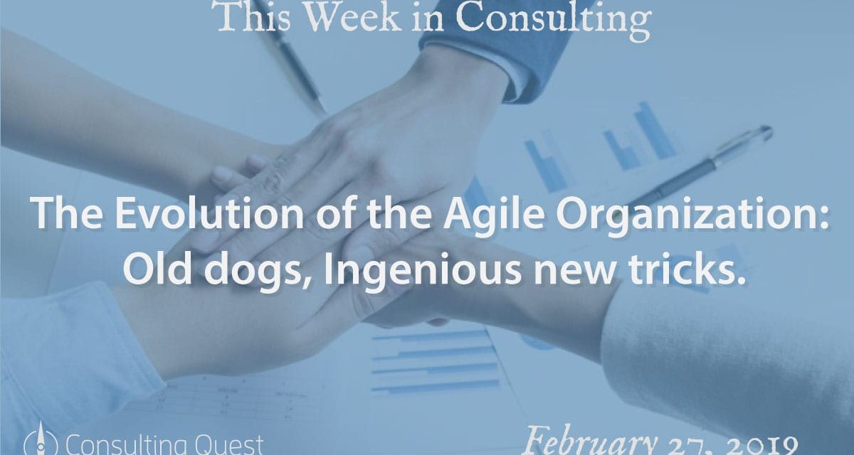 This Week in Consulting: The Evolution of the Agile Organization