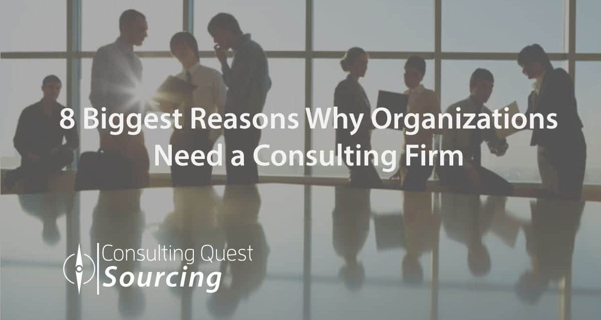 8 Biggest Reasons Why Organizations Need a Consulting Firm and How Consultants Cater to Clients’ Needs