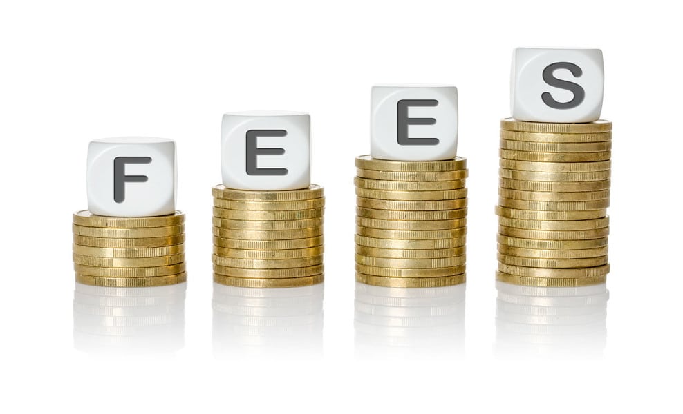 Understanding Consulting Fees