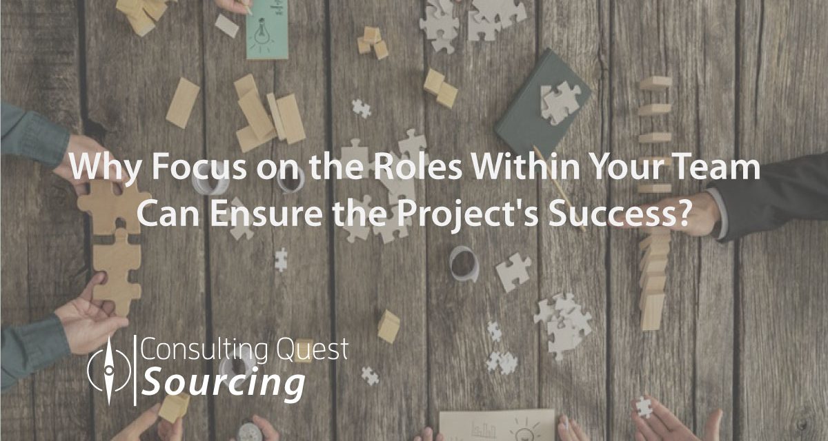 Why Focus on the Roles Within Your Team Can Ensure the Project’s Success?
