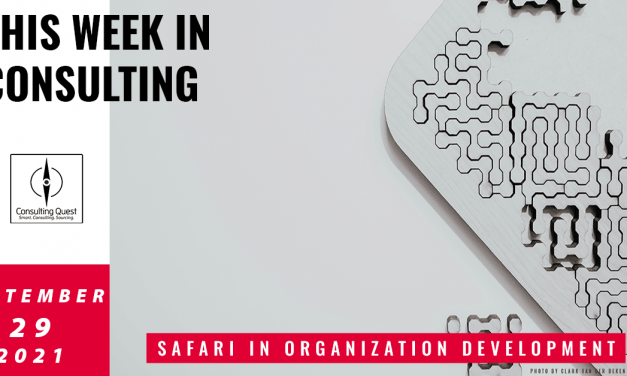 This Week In Consulting: Safari in Organization Development