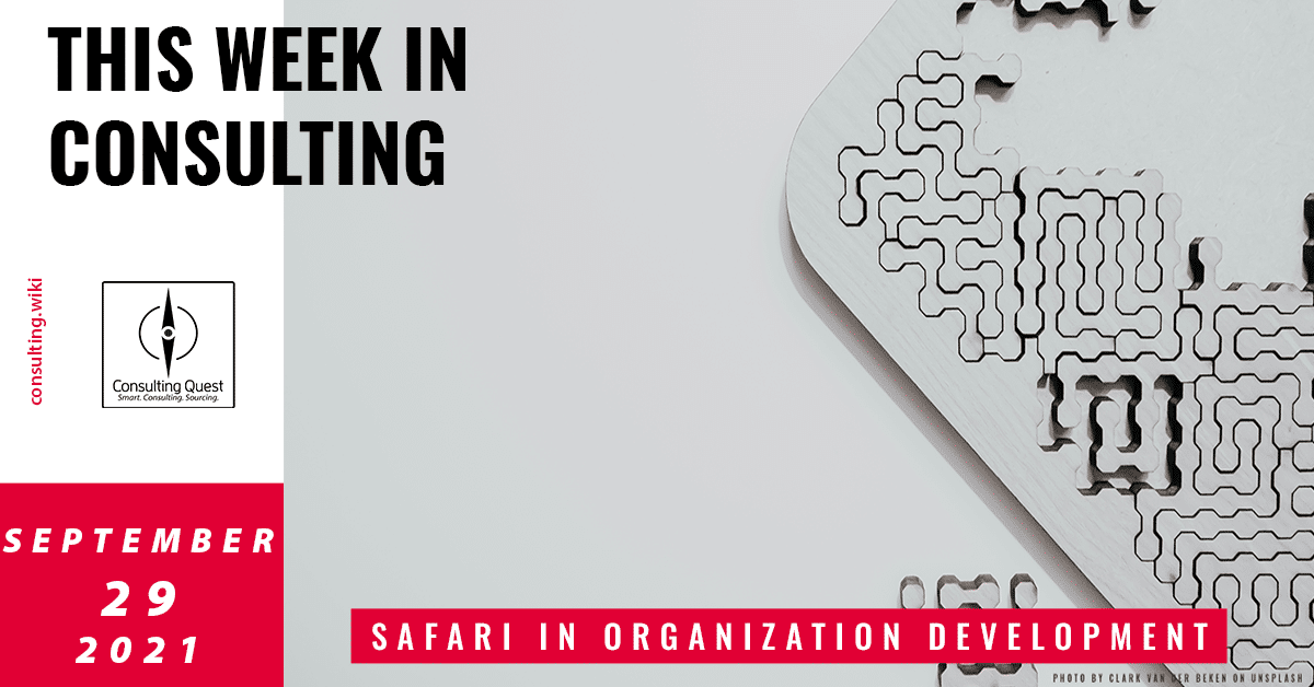 This Week In Consulting: Safari in Organization Development