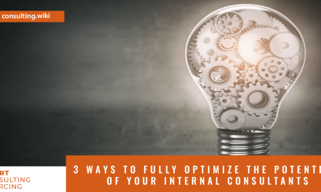 3 Ways to Fully Optimize the Potential of Your Internal Consultants