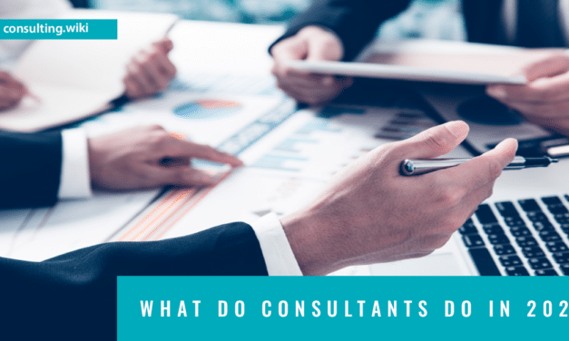 What do consultants do? (2022)