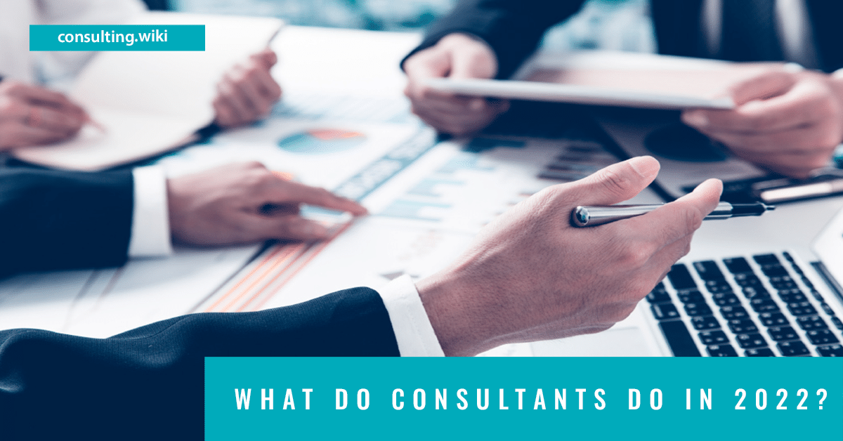 What do consultants do? (2022)