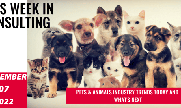 Explosive growth of Pets & Animals sector – what you need to know | This Week in Consulting