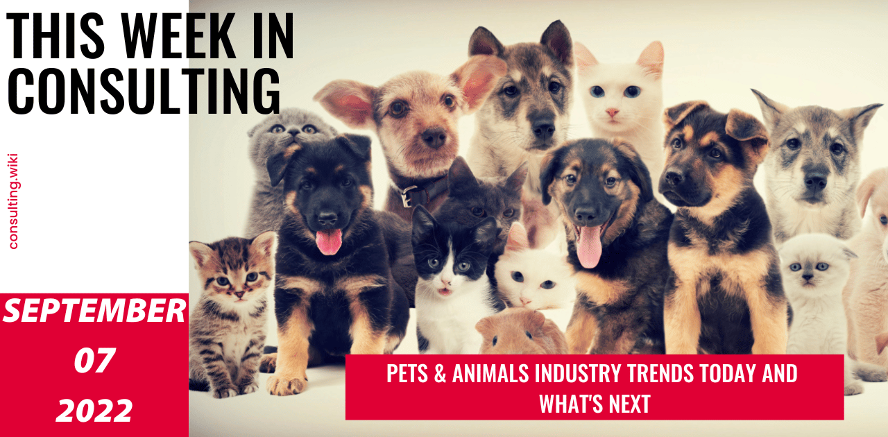 Explosive growth of Pets & Animals sector – what you need to know | This Week in Consulting