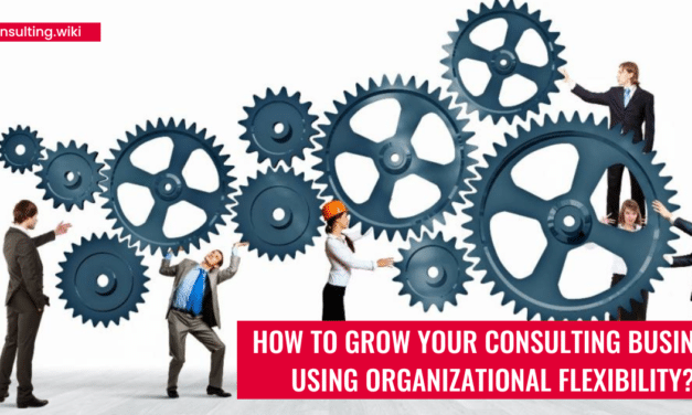How to grow your consulting business using organizational flexibility?