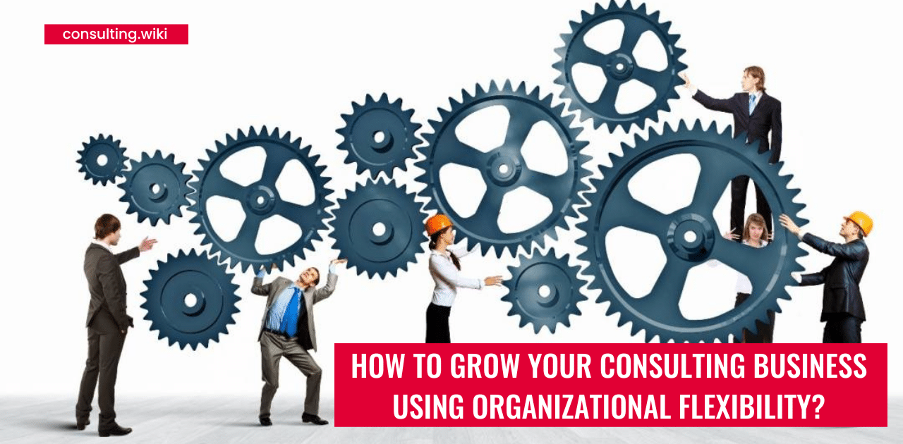 How to grow your consulting business using organizational flexibility?
