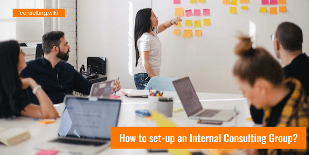 How to set-up an Internal Consulting Group?