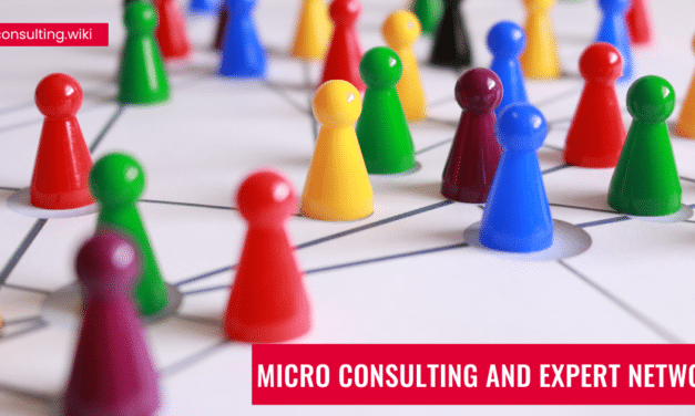 Micro Consulting and Expert Networks