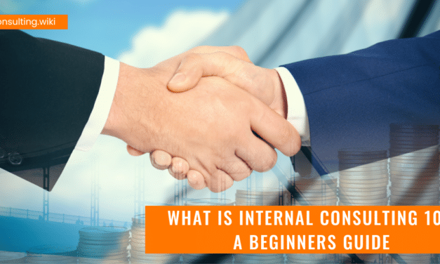 What is Internal Consulting 101: A Beginners Guide