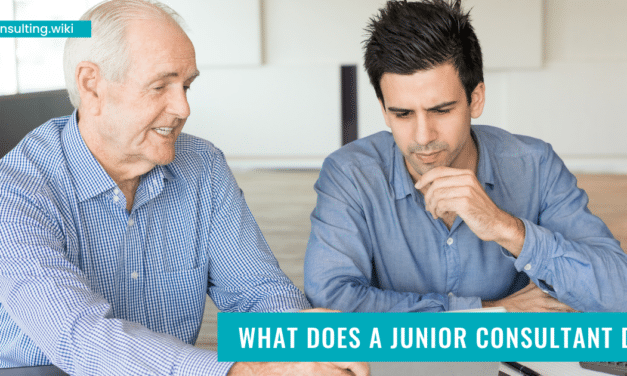 What Does a Junior Consultant Do?